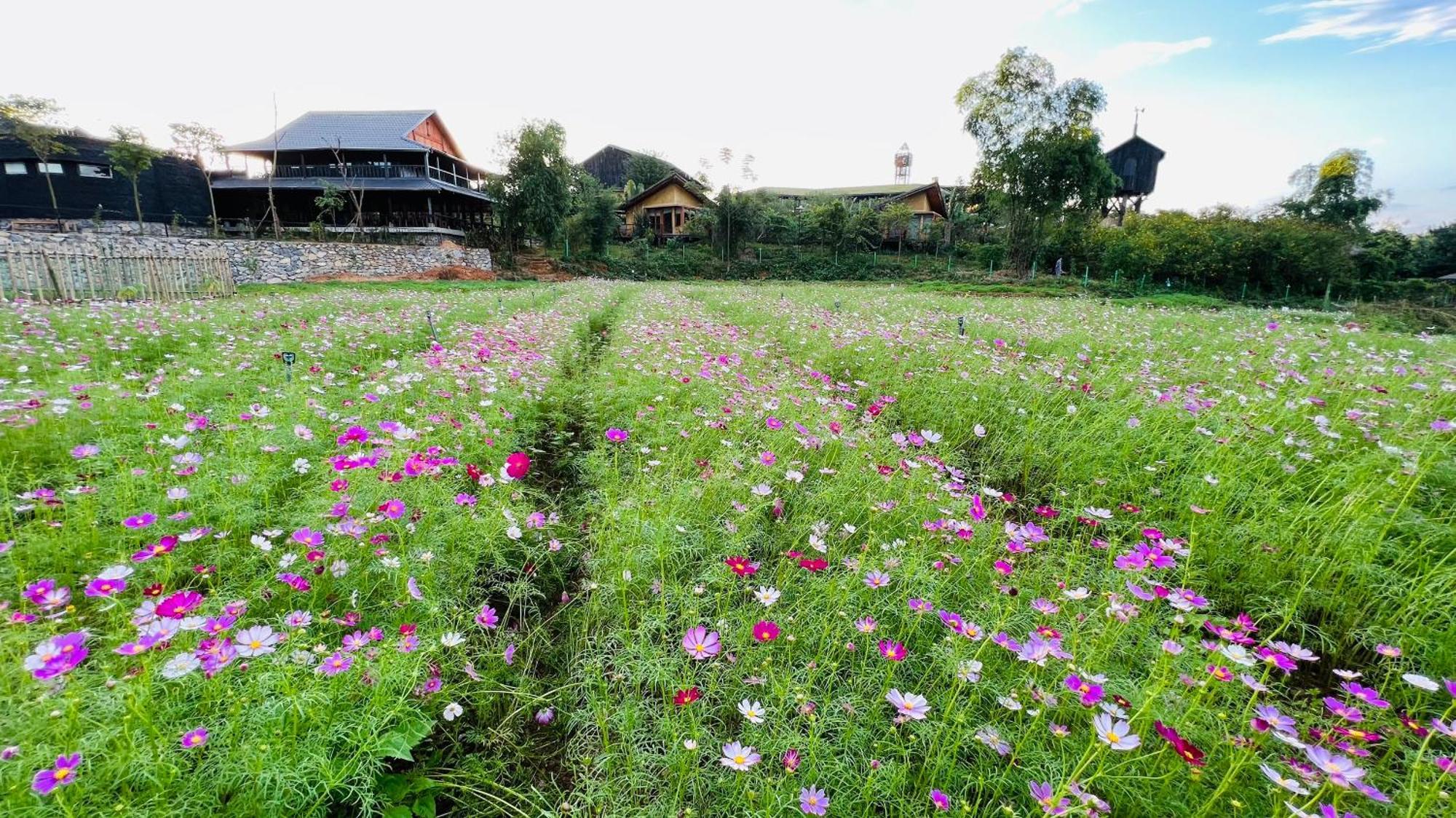 Satoyama Village Luong Son  Kültér fotó