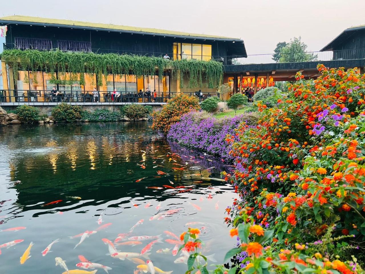 Satoyama Village Luong Son  Kültér fotó